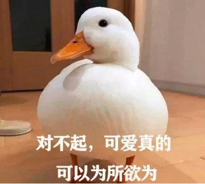 柯尔鸭我们这届鸭子已经不是道菜了