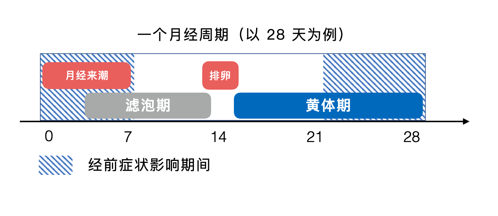 新闻搜索_新浪搜索_新浪网