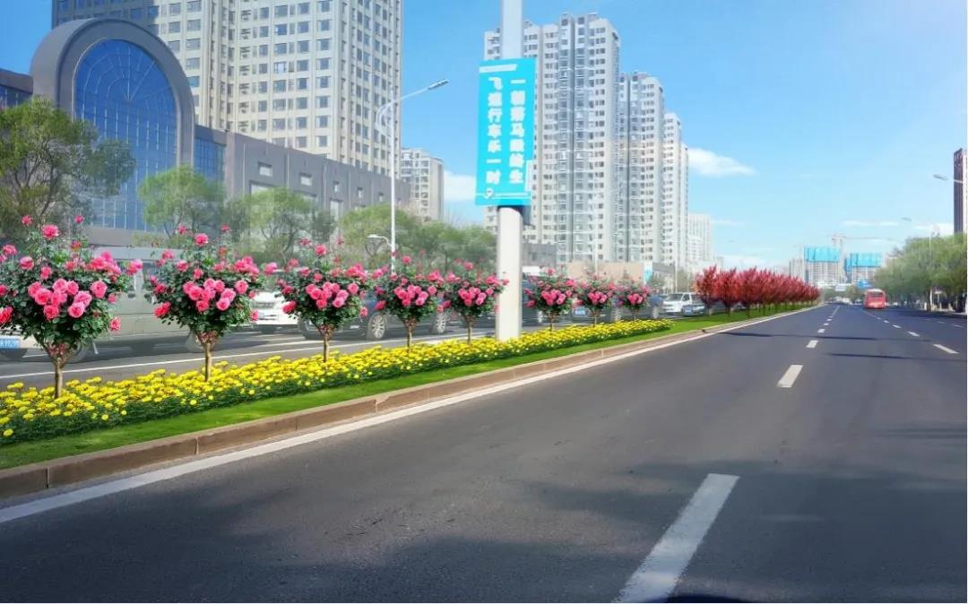隔离带颜值"升级",青岛路将成"观光走廊"大众网 2020-05-27 19:37:05