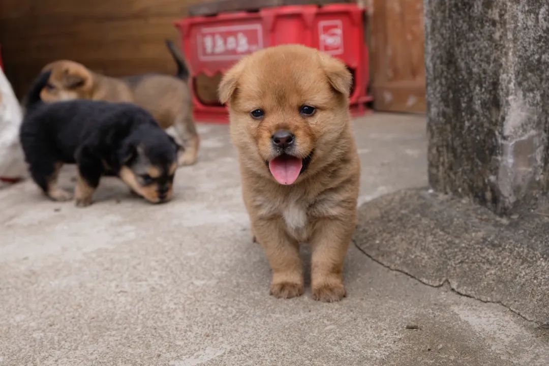 以后这些行为要被罚款啦!千万别任性!