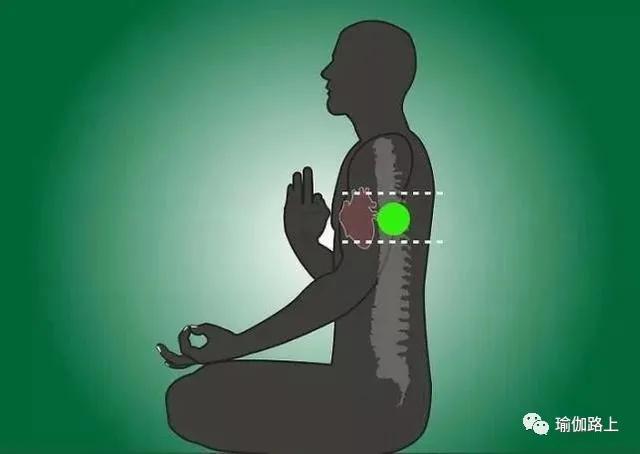 专注于心轮,它位于脊柱上心脏的位置平静而清楚地发出"yam"声这时