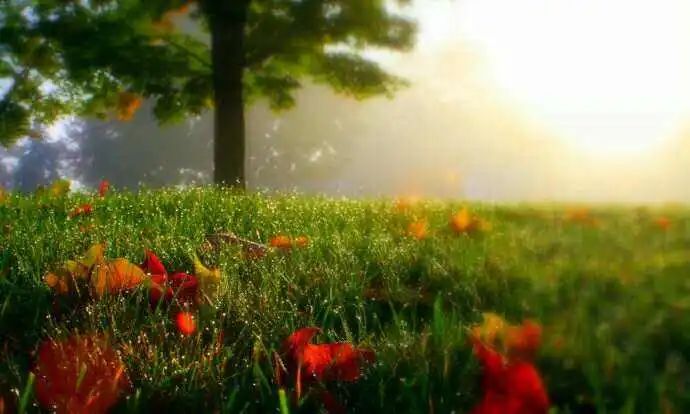 一边下雨一边出太阳这种天气是如何形成的