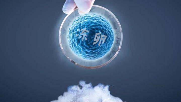 女代表女委员pk单身女性冻卵,你赞成还是反对?