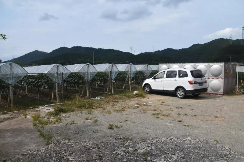 葡萄又可以在周边转转还能吃上车陂有名的仙人粄 清补凉没有停车难的