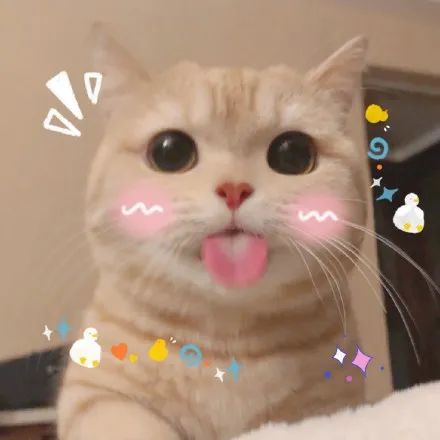 "▼吨吨吨吨喝爆vs斯文吸溜吸溜▼牛油果舔舌头 vs 恶龙咆哮舔舌头