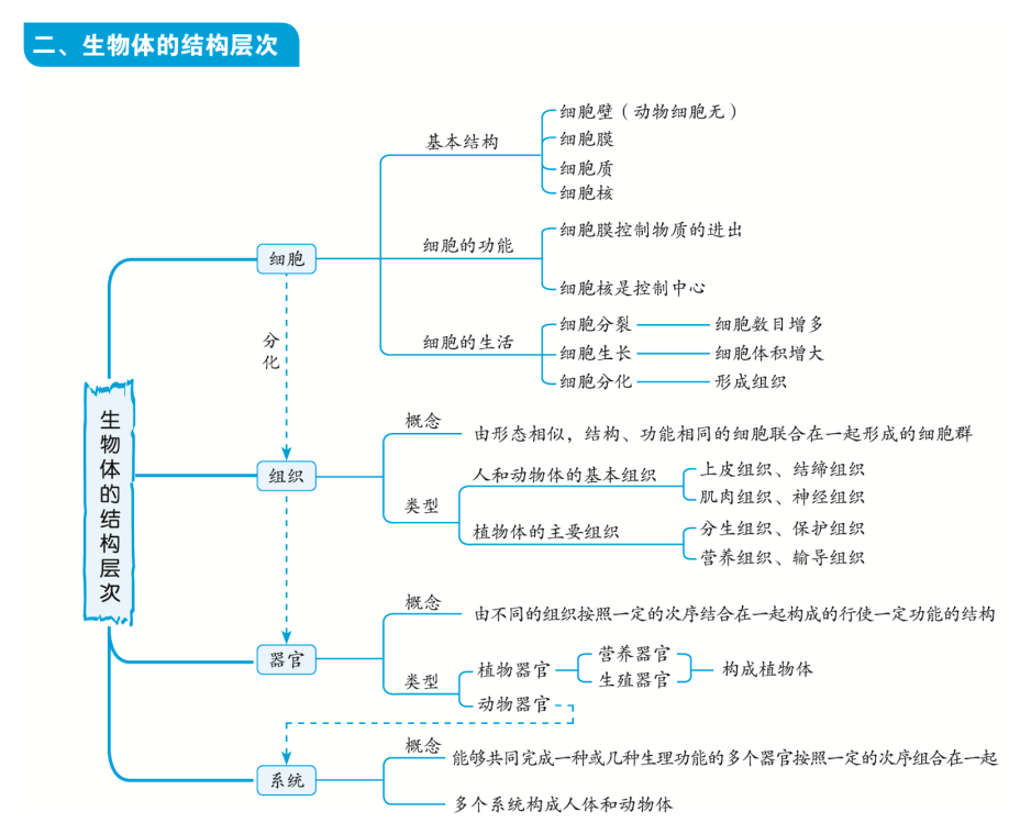 送初中生物知识点思维导图大全重难点知识一目了然可打印