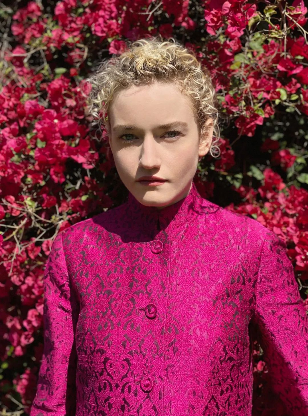 明星们如何度过疫情丨赏色