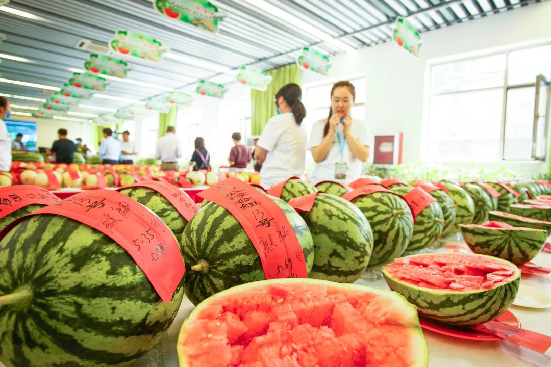 大兴西瓜节今天开幕啦!