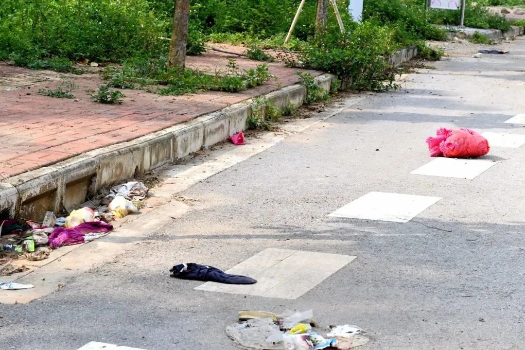 崇左市江州区沿山路段一改脏乱旧貌换上"新颜"!