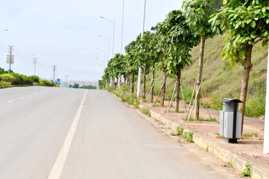 崇左市江州区沿山路段一改脏乱旧貌换上"新颜"!