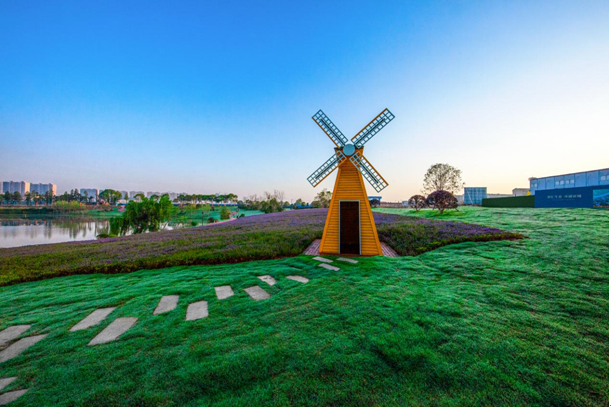 岳阳新增一座网红公园,你打卡了吗?