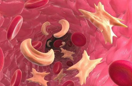 大实话告诉你,经常吃动物血是好是坏