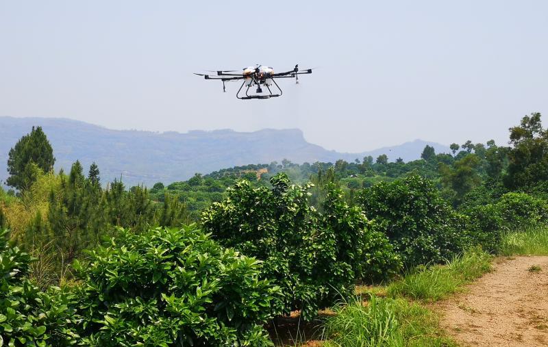 黄坑镇下营村种植大户黄锦文在家里用手机查看果园的土壤,空气,光照等
