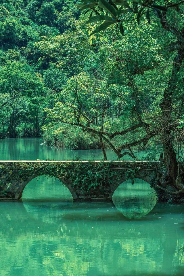 这6个清爽景美的小众秘境里,藏着中国最爽的夏天