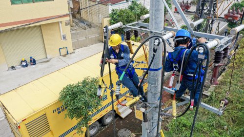 从闲置农房到特色民宿——电网升级助力农村旧貌换新颜