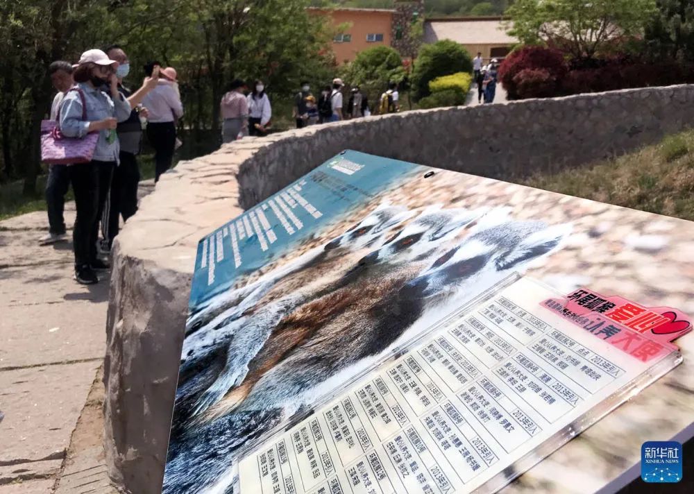 青岛森林野生动物世界举行首届动物爱心认养仪式