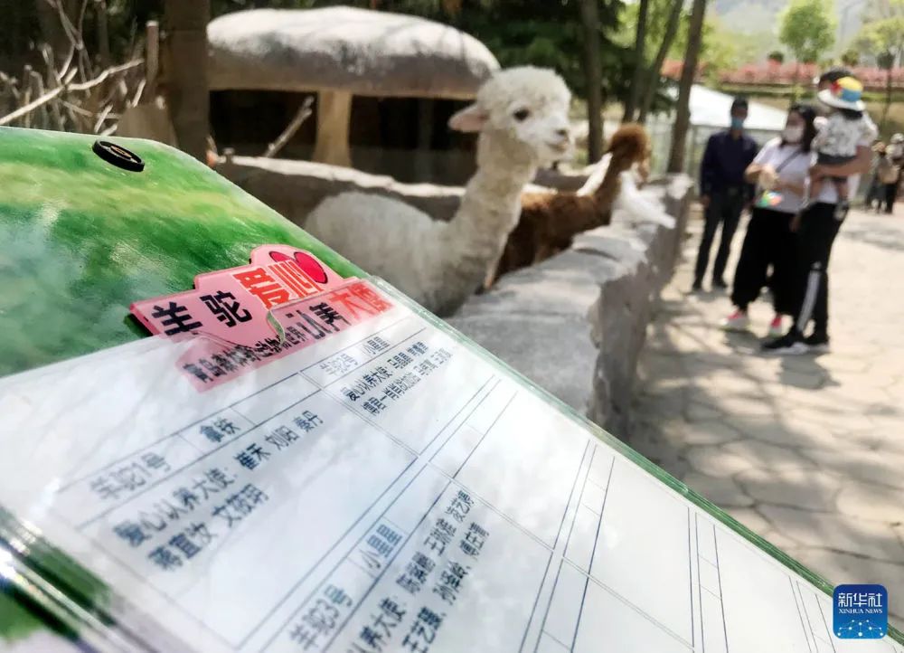 青岛森林野生动物世界举行首届动物爱心认养仪式