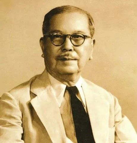 抗疫日记邹璐医者仁心的中医情怀