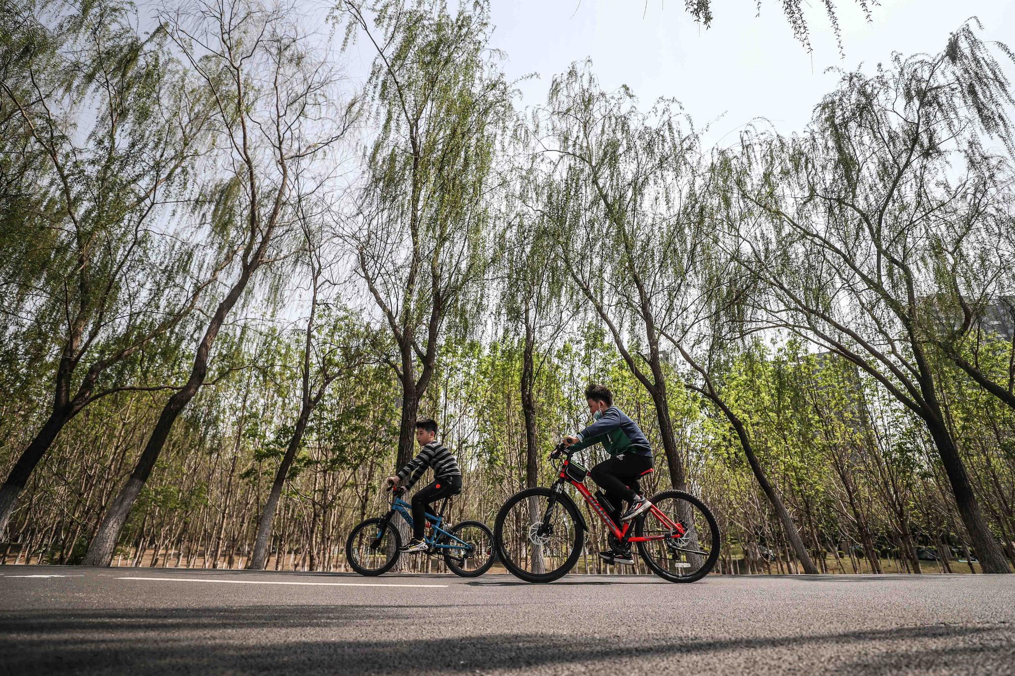 沈阳;出门踏青 乐享春光