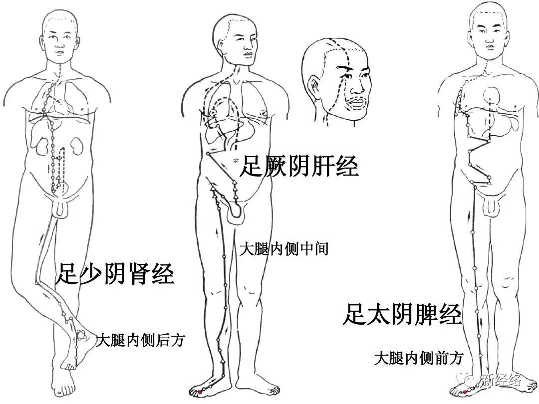 4心肾不交(1)双手交替拍打两侧手厥阴心包经,从上到下,反复拍打5分钟