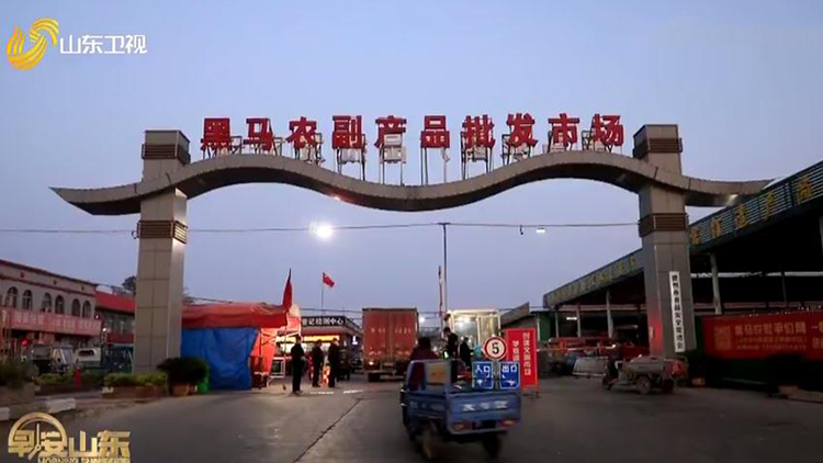 【山东卫视】德州菜市场里的反时差劳动者:忙碌也是一种幸福