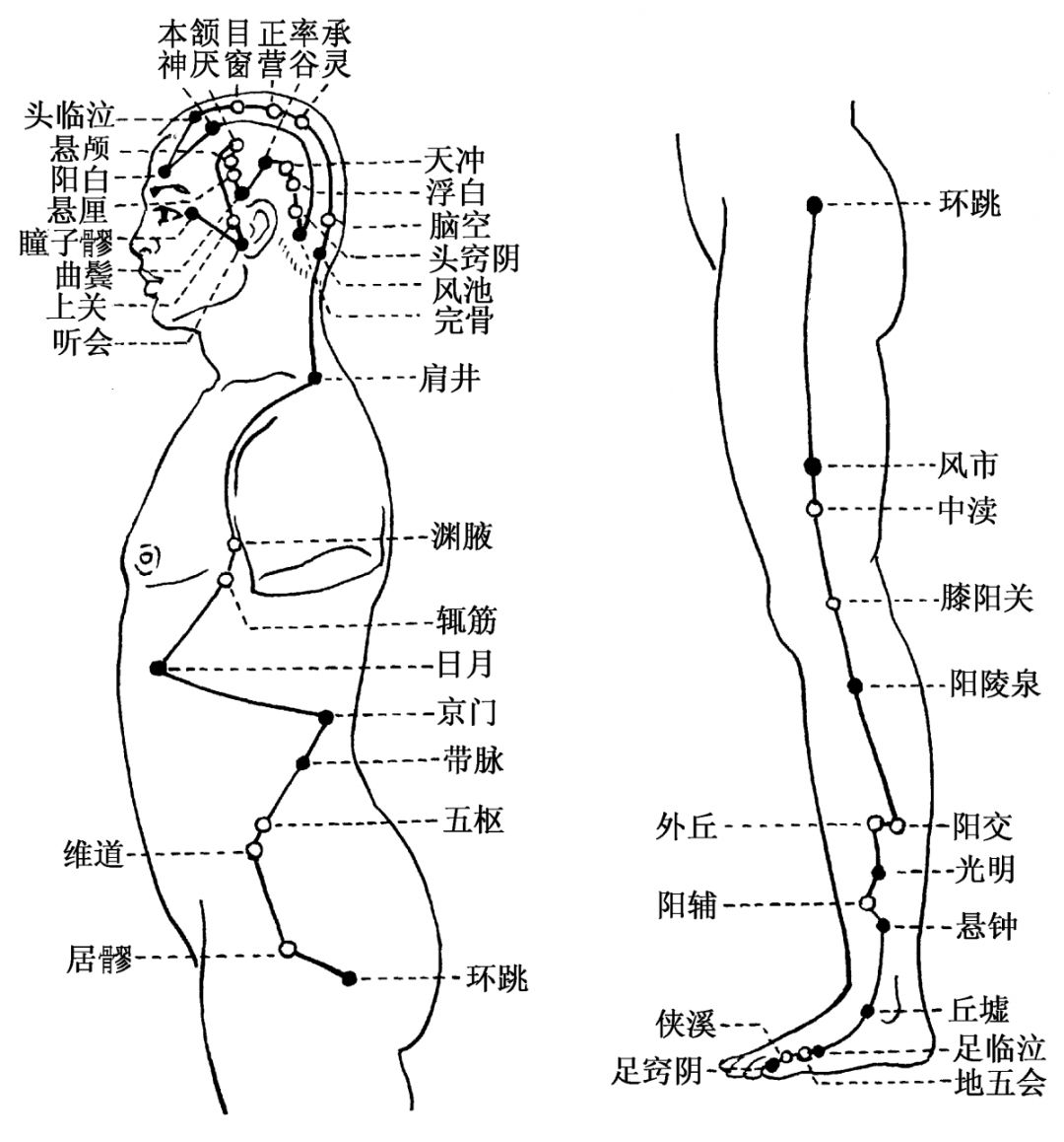 1 双手交替拍打两侧足少阳胆经