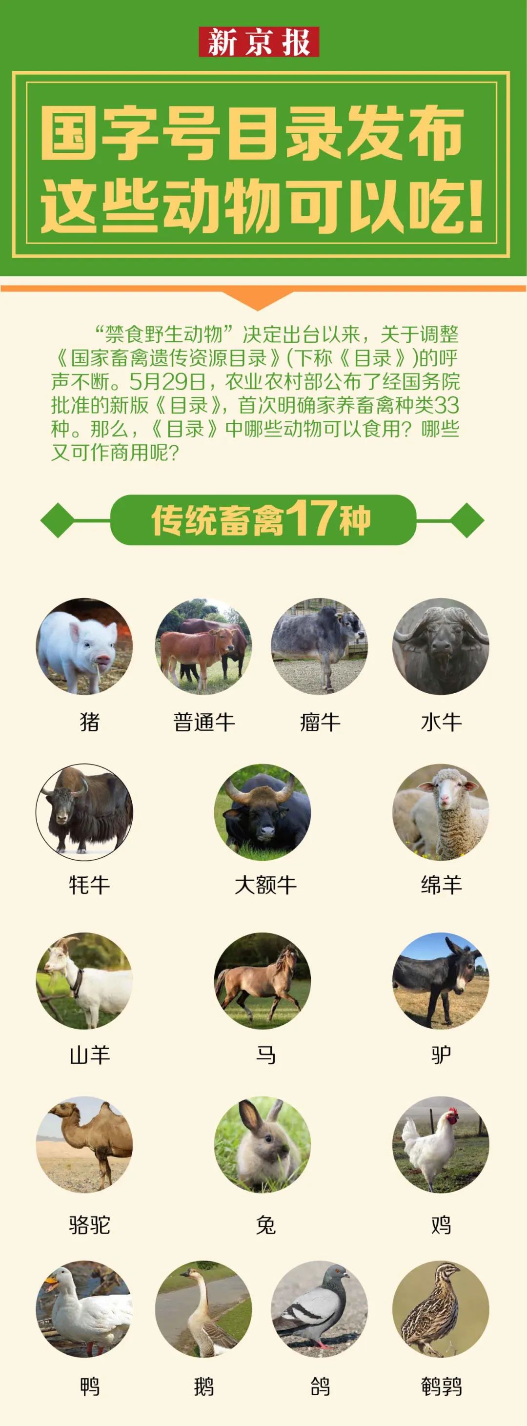 现在哪些动物可以吃 不能吃的在养野生动物该咋办 权威解答来了 野生动物 新浪财经 新浪网 现在哪些动物可以吃 不能吃的在养野生动物该咋办 权威解答来了 野生动物 新浪财经 新浪网