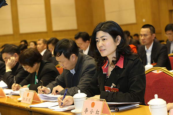 全国人大代表,湖南佳惠集团董事长李小红