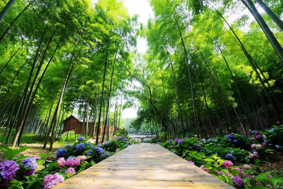 钱江新城里的世外桃源300多个篮球场大的昆虫王国六一这么玩才过瘾