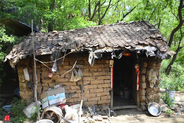 父子三人为降低生活开销逃回深山住窝棚孩子上学前卖3只鸡