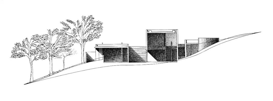 安藤忠雄亲笔自传我浑身都是缺点除了活下去的韧性chin美物