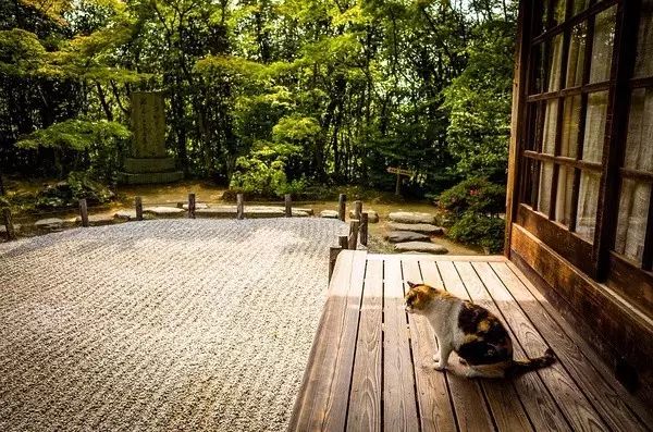 枯山水之于日式庭院 究竟意味着什么 东福寺 庭园 新浪新闻