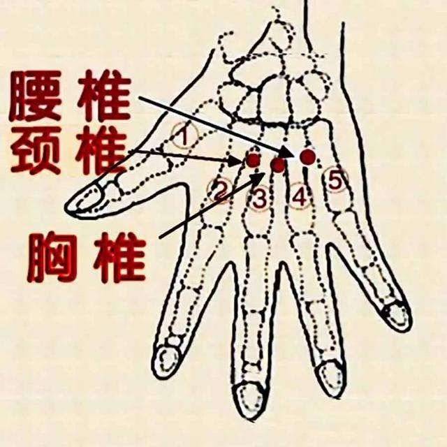 颈椎病不花钱的治疗方法每天按一按这3个穴位摆脱颈椎烦恼
