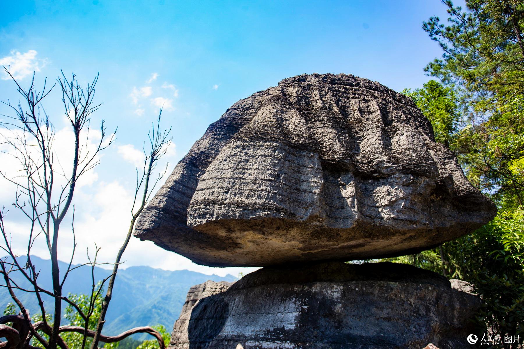 湖北恩施:四亿六千万年前的石林奇观