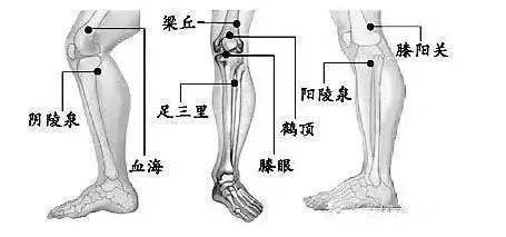 滑膜炎终于有救了玉米这样吃不出两周膝盖积液肿胀吃没了