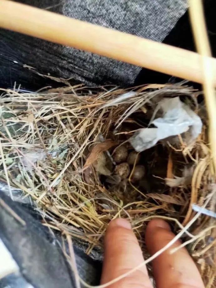 一天进步一小步