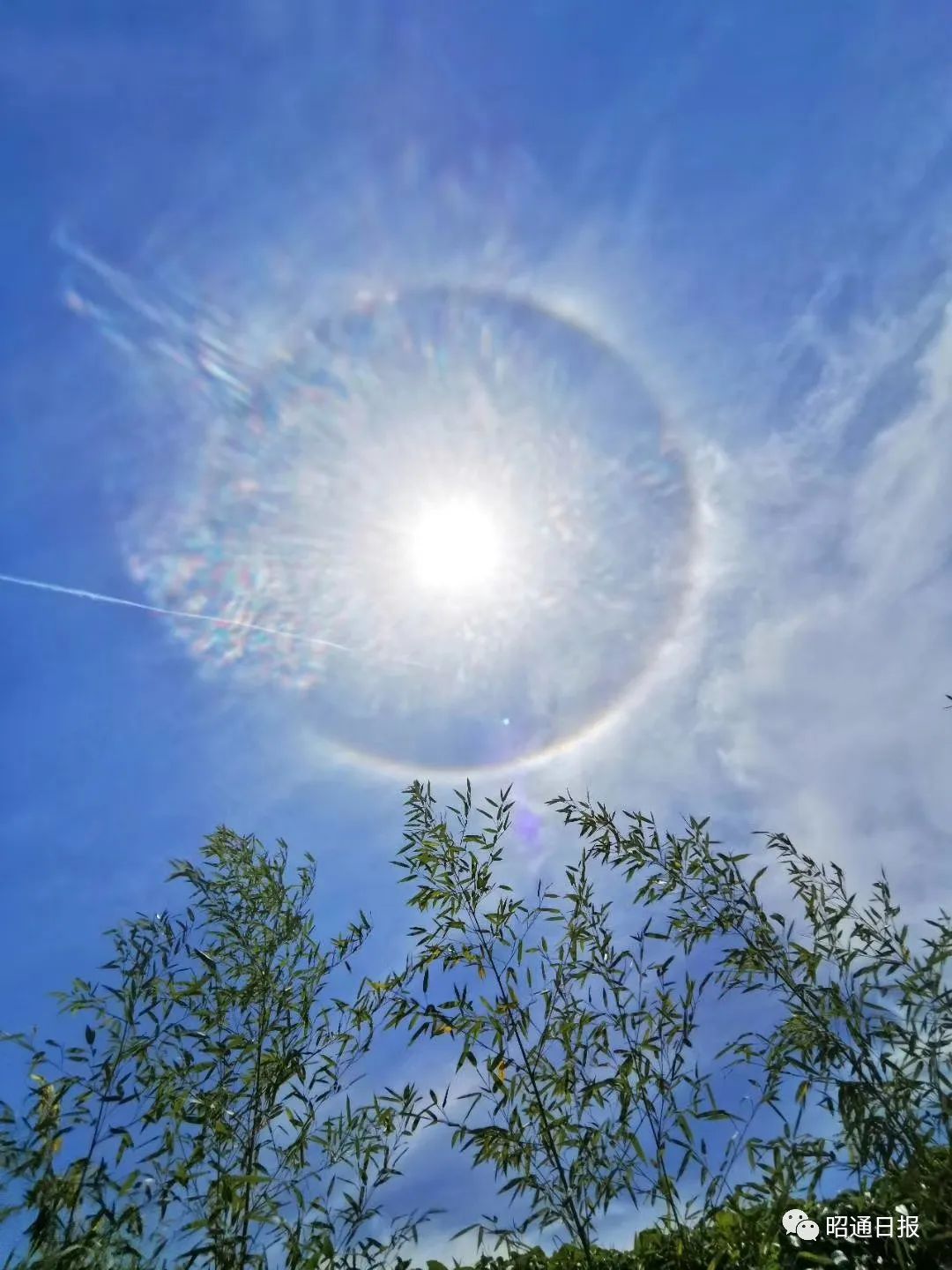 今天你抬头看天了吗一大波美图来袭