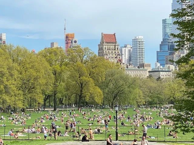 8周死了人 这场面真是一记耳光 手机新浪网 8周死了人 这场面真是一记耳光 手机新浪网