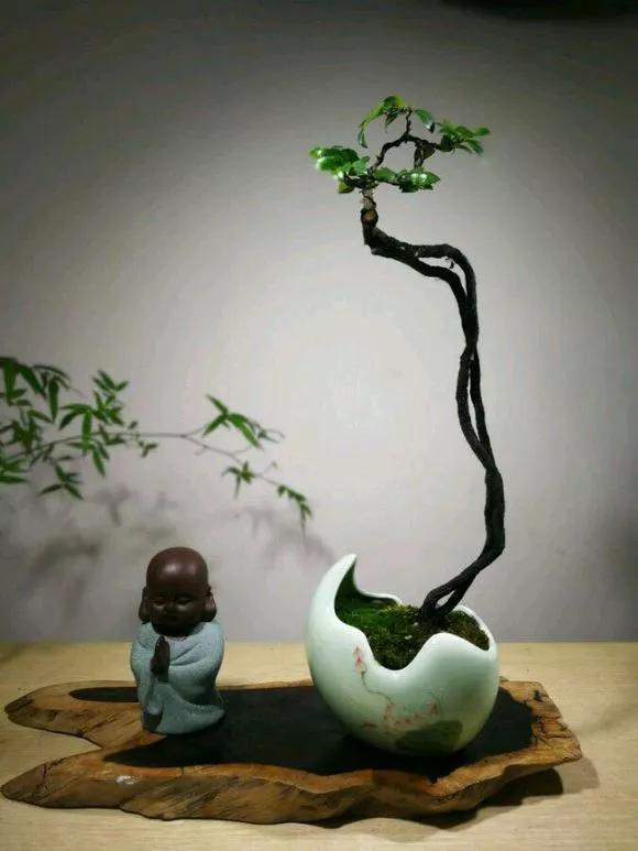 退休老人用空酒瓶做盆景,盆盆是精品,惊艳众人!