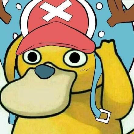 这样的罗宾鸭,索隆鸭你一定没见过