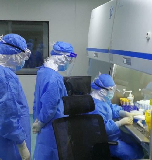 哈医大二院PCR实验室完成第一阶段急危重症患者检测任务