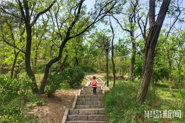 青岛市李沧区烟墩山公园:少一份人气和悬念 多一份安静和闲适