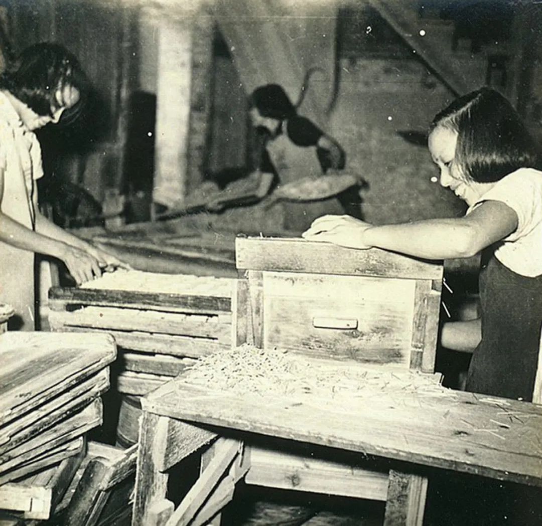 老照片流出满屏回忆几十年前肇庆人是这样过五一的