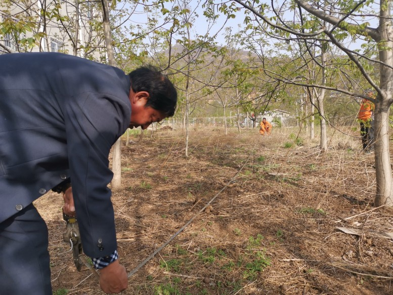 这就是山东·新青年丨揭秘济南李北村80后“第一书记”的工作密码:抓党建促脱贫
