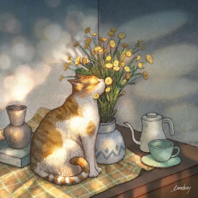 一只猫会带来一窝猫悠闲悠哉的生活太喜欢了