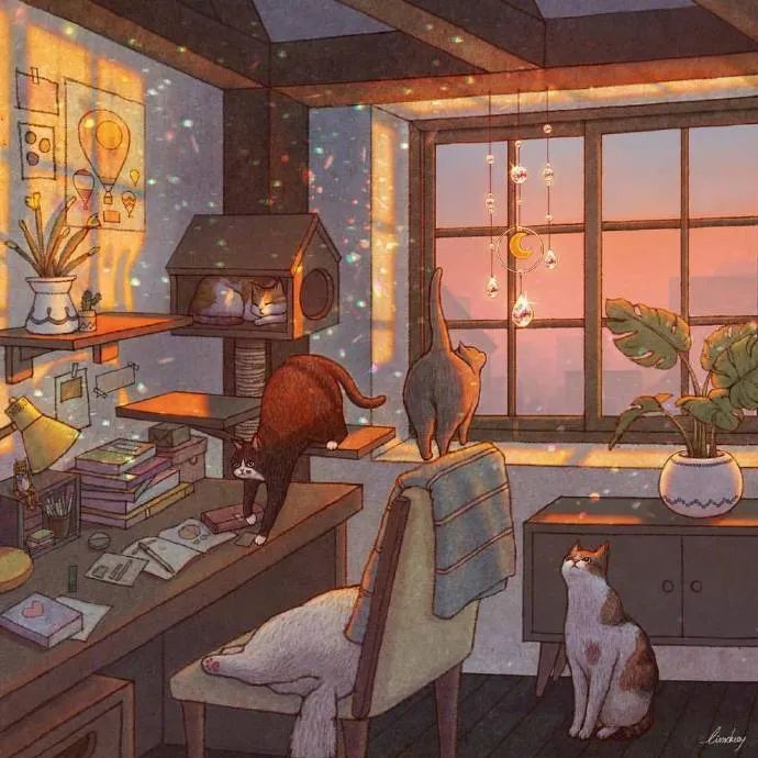 一只猫会带来一窝猫悠闲悠哉的生活太喜欢了