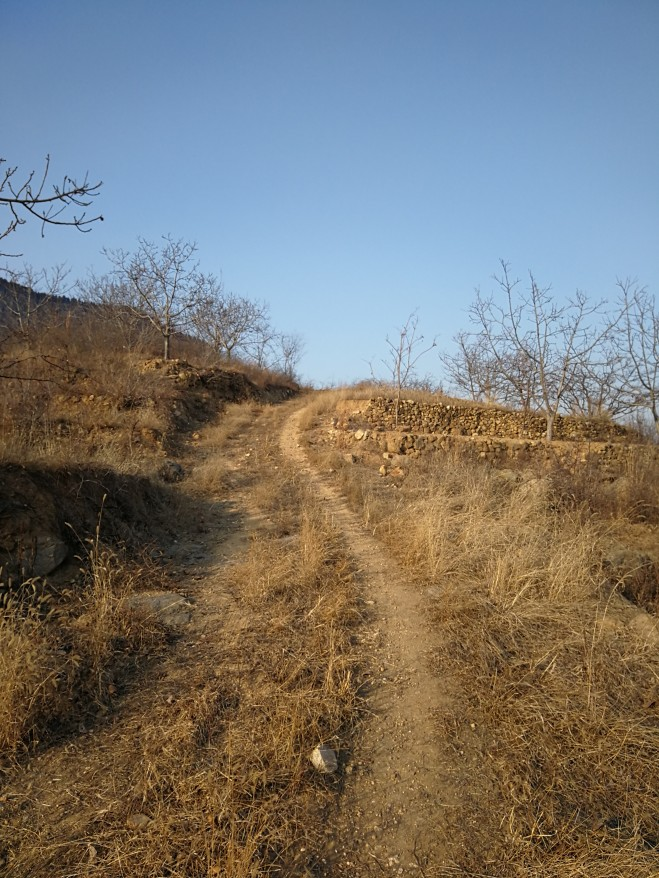 这就是山东·新青年丨揭秘济南李北村80后“第一书记”的工作密码:抓党建促脱贫