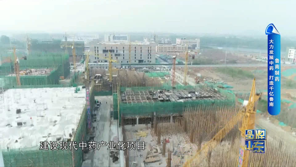 品牌山东|看鲁南制药是如何大力发展中药,打造千亿鲁南?