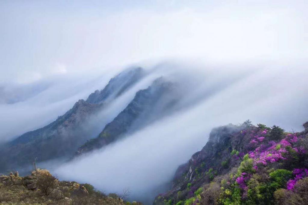 大黑山再现平流雾景观！ 这里有最“仙”的大连！