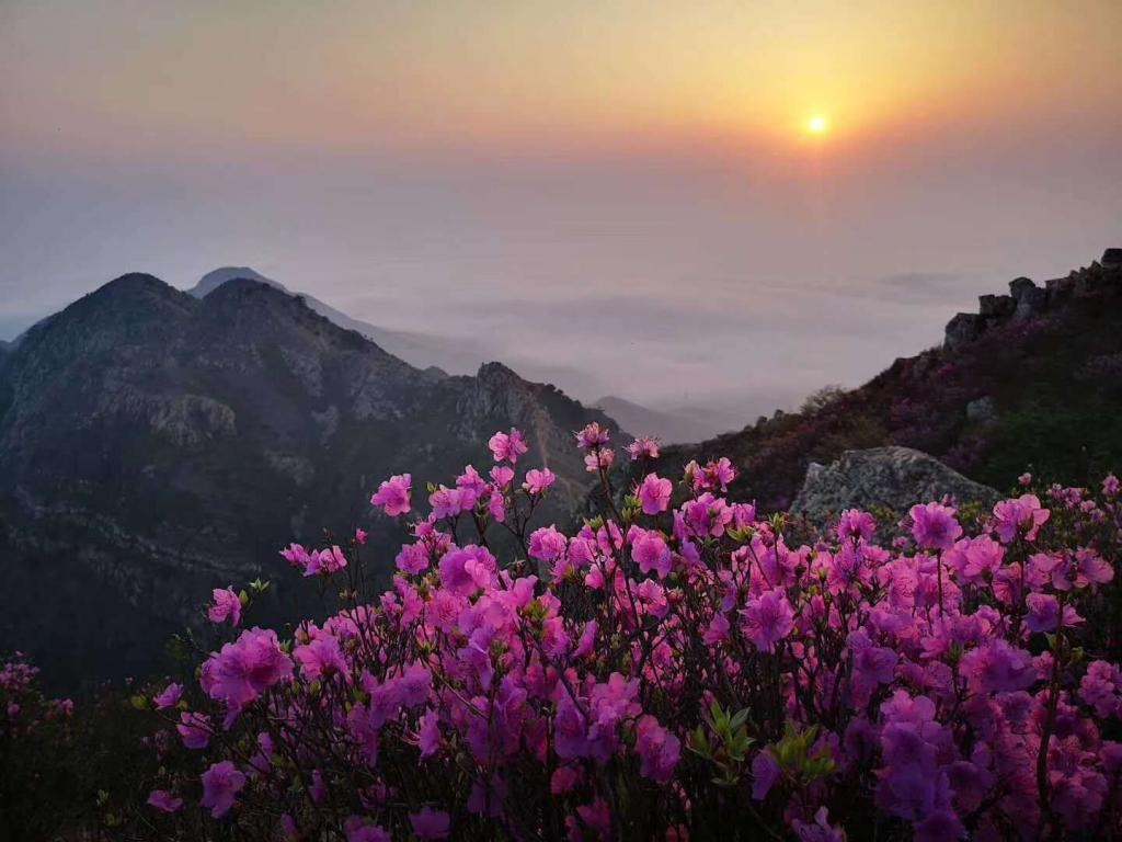 大黑山再现平流雾景观！ 这里有最“仙”的大连！